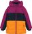 wild aster (6261)