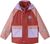 castanea brown (13AA)