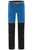 bright blue c9 (C9)