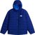 bold blue (NLV)
