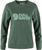 deep patina-misty green (679-674)