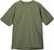 sage green (D40)