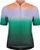 mountain pine rainbow (1262)