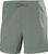grey cactus (485)