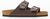dark brown (200)
