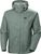 grey cactus (485)