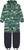 deep lichen green (9312)
