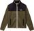 olive night g1f (G1F)