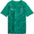 sport green-puma white-power green (05)