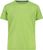 limegreen (E413)