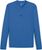 electric blue lemonade-puma team royal (02)