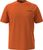 orange pumpkin a68 (A68)