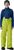 lime (LIM)