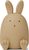 rabbit oat (9537)