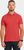 pomme red (463)