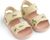 peach / sea shell (1232)