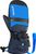 blue (4458)