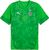 puma green-puma silver (05)
