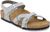 shiny glitter silver (12181)