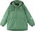 green clay (8680)
