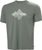 grey cactus (485)