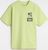 shadow lime (310)
