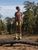 carob (0B1)