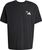 black (095A)