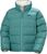 opal green (494)