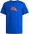 team royal blue (AD8R)