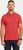 pomme red (463)
