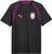 flat dark gray-plum wine (05)
