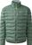 chlorophyll green (5YE)