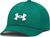 green - white (312)