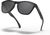 matte black/prizm black polarized (9013F7)