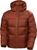 iron oxide (301)