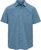 blue flint (008)