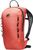 salmon (3745)