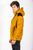 dark yellow (41)