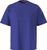 royal blue b3b (B3B)