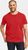 pomme red (463)