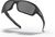 polished black/prizm black polarized (926341)