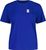 bright cobalt (8777)
