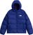 bold blue (NLV)
