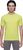 yellow plum (Y305)