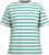 polar light stripe (1287)