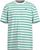 polar light stripe (1287)
