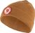 acorn (166)