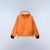 orange pumpkin a68 (A68)