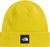 pigment yellow (NO7)